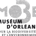 avatar utilisateur